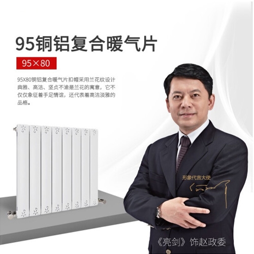 銅鋁復合95×80A散熱器